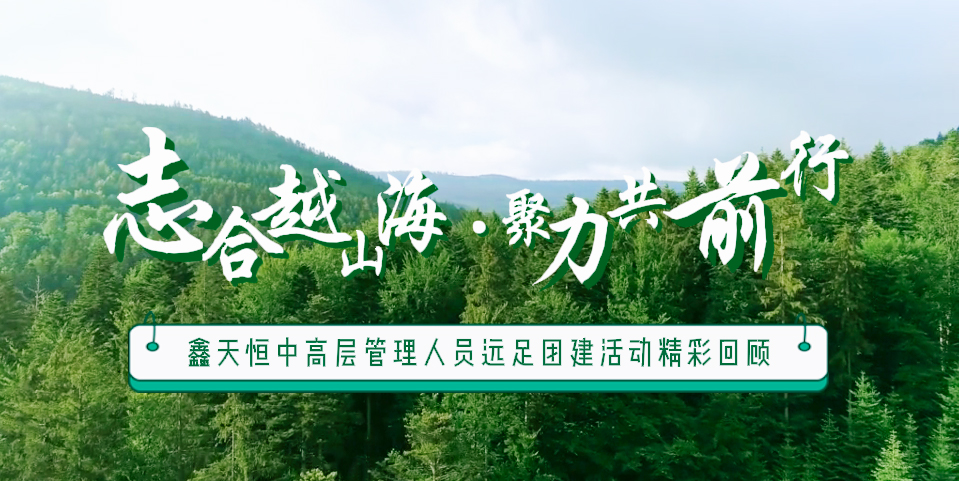 精彩回首 | 众行致远，，，，，步步为赢，，，，，一起奋进勇向前
